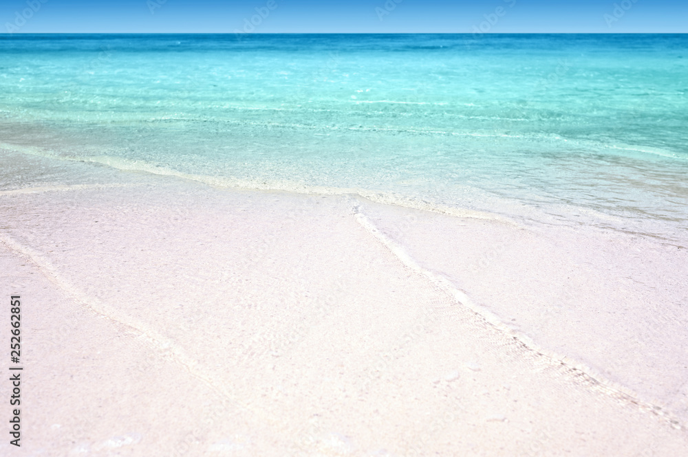 tropical sandy beach summer concept background tropical sandy beach summer concept background