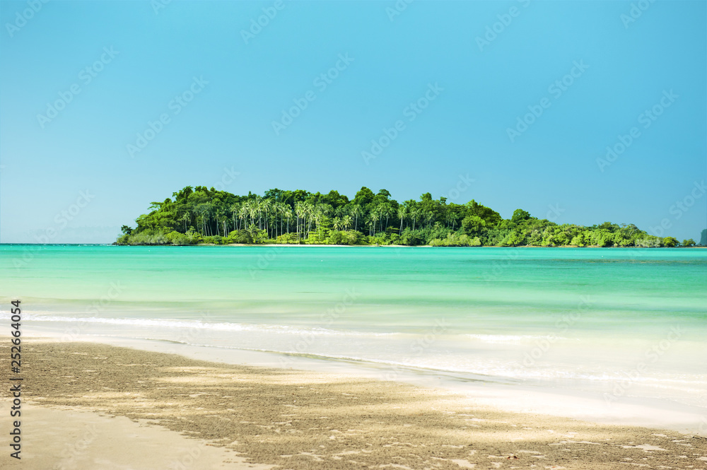 coconut plam trees on island and sandy beach summer concept