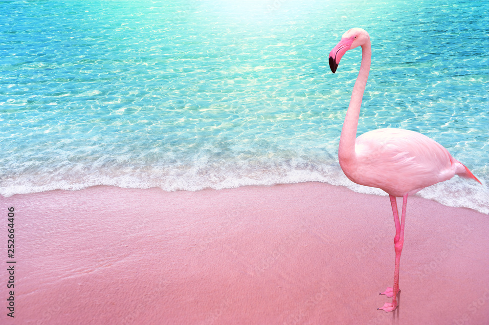 pink flamingo bird sandy beach and soft blue ocean wave summer