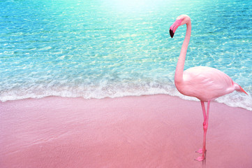 pink flamingo bird sandy beach and soft blue ocean wave summer concept background