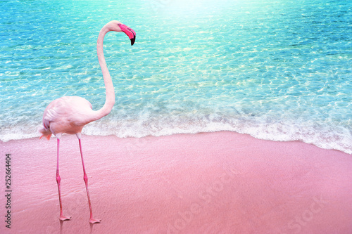 pink flamingo on pink sandy beach and soft blue ocean wave summer concept background