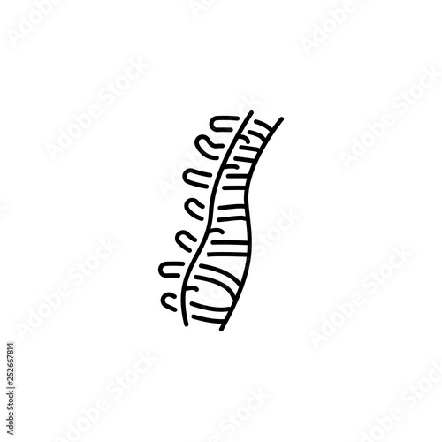 human organ spine outline icon. Signs and symbols can be used for web, logo, mobile app, UI, UX