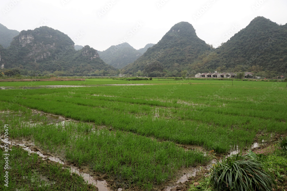 dry halong bay Ninh Bihn - Vietnam Asia