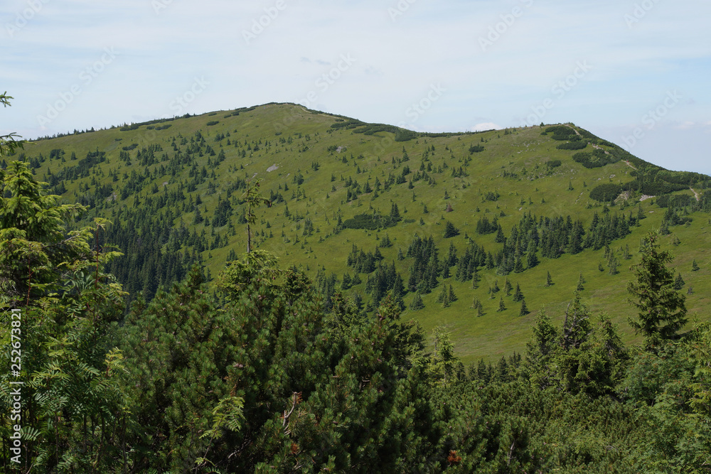 Babia Góra widok na Tatry