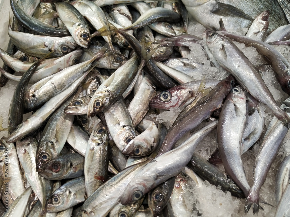 Fresh Portuguese sardines for sale on ice in fish market. Close up. Fresh Portuguese sardines for sale on ice in fish market. Close up.
