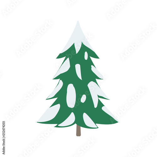 Fir tree in snow on white background. Green fluffy pine, isolated on white background. Winter. Vector illustration. EPS 10.
