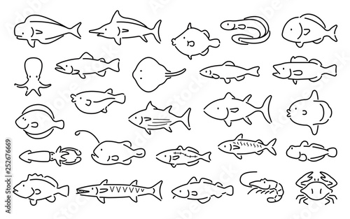 Saltwater fish vector set  Thin line   Outline style 