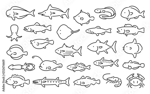 Saltwater fish vector set (Thin line , Outline style)