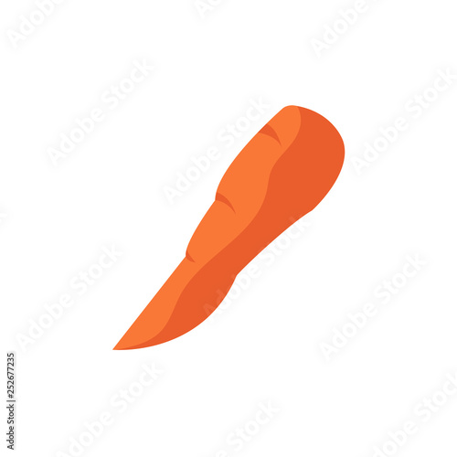 Carrot. Vegetable. Orange carrot. Vector illustration. EPS 10.