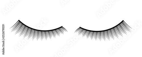 Creative vector illustration of false eyelashes, female lashes, mascara lash brush isolated on transparent background. Art design thick cilia beautiful make-up. Abstract concept graphic element