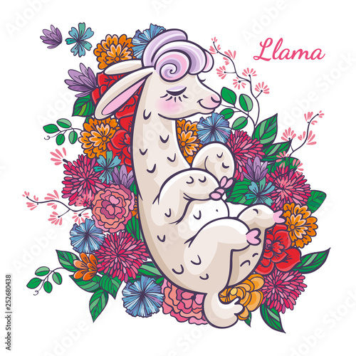 Beautiful llama, alpaca portrait with flowers frame. Vector, sketch, outline, cartoon Illustration