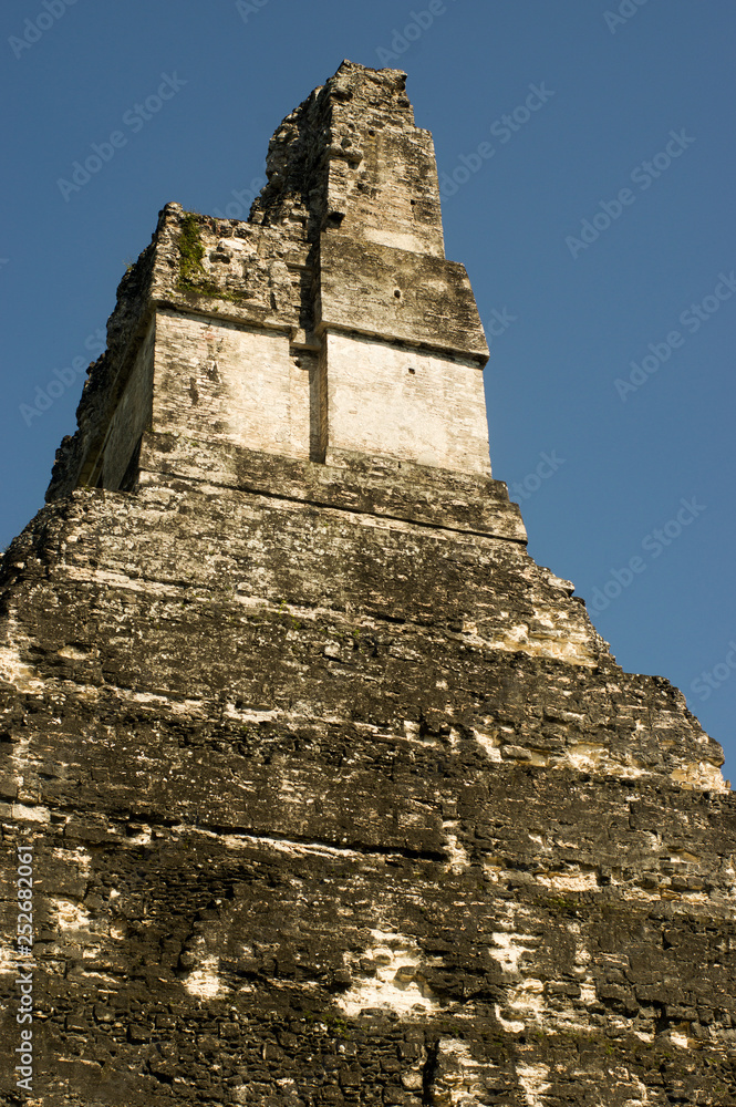 Tikal (Guatemala) temple  in the Jungle