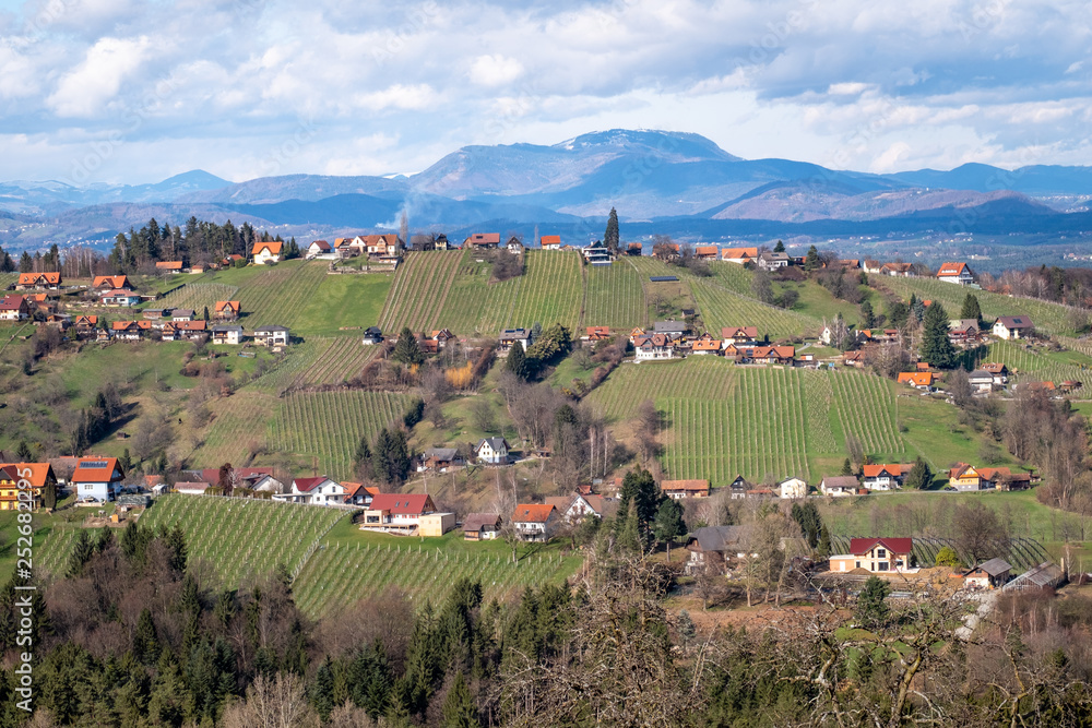 Fototapeta premium Schilcherland Stainz Weinstrasse vine route with vineyards and mountain Schoeckl