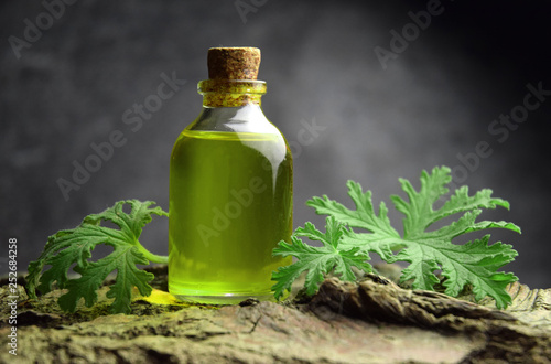 Citronella geranium oil aromatherapy photo