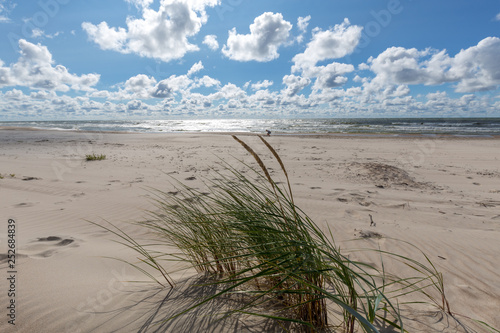 Fototapeta Naklejka Na Ścianę i Meble -  Empty beach under blue cloudy sky