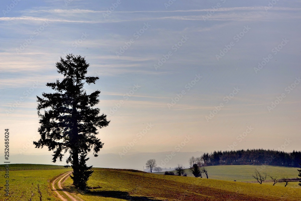 Paysage de nature dans la Loire.