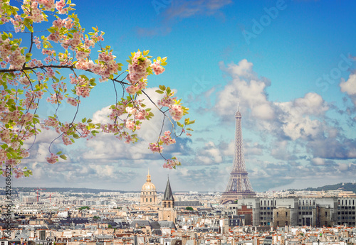 Canvas Print skyline of Paris with eiffel tower