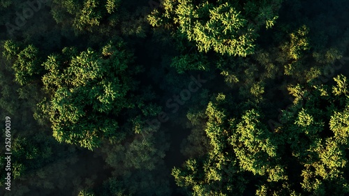 Stunning realistic 3D illustration of a sunset over a thick green forest in fog on a sunny day. Aerial view