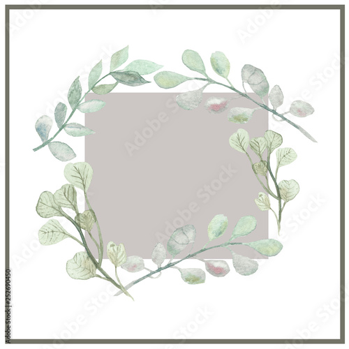 Watercolor framed by the branches of the eucalyptus tree isolated on white background. Summer illustration for beautiful design of posters, cards, invitations. © Natalia