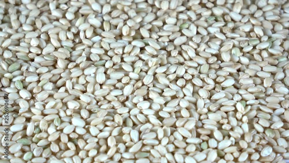 Dehydrated sweet brown rice grains spinning video Dehydrated sweet brown rice grains spinning video