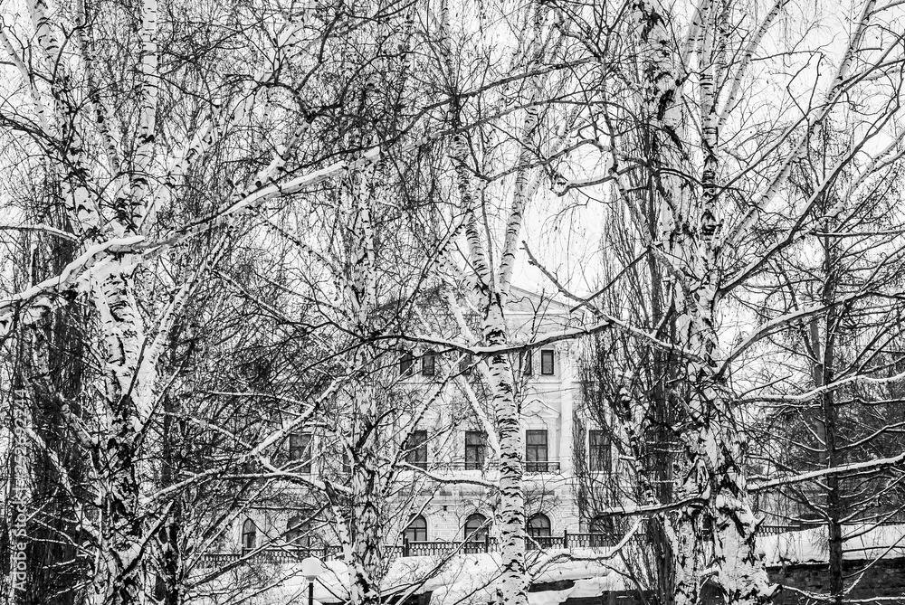 mansion in a winter birch grove above the overpass