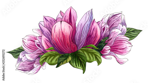 Floral bouquet with pink magnolia flowers and green leaves. Watercolor floral illustration.