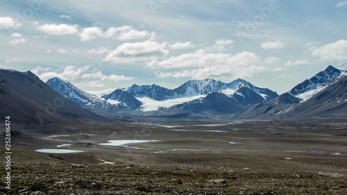 Arctic landscape in Svalbard during summer. Mountain. Norway