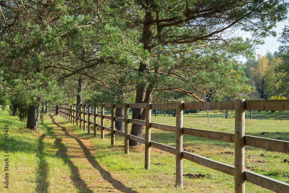 A simple wooden fence for horse pen.