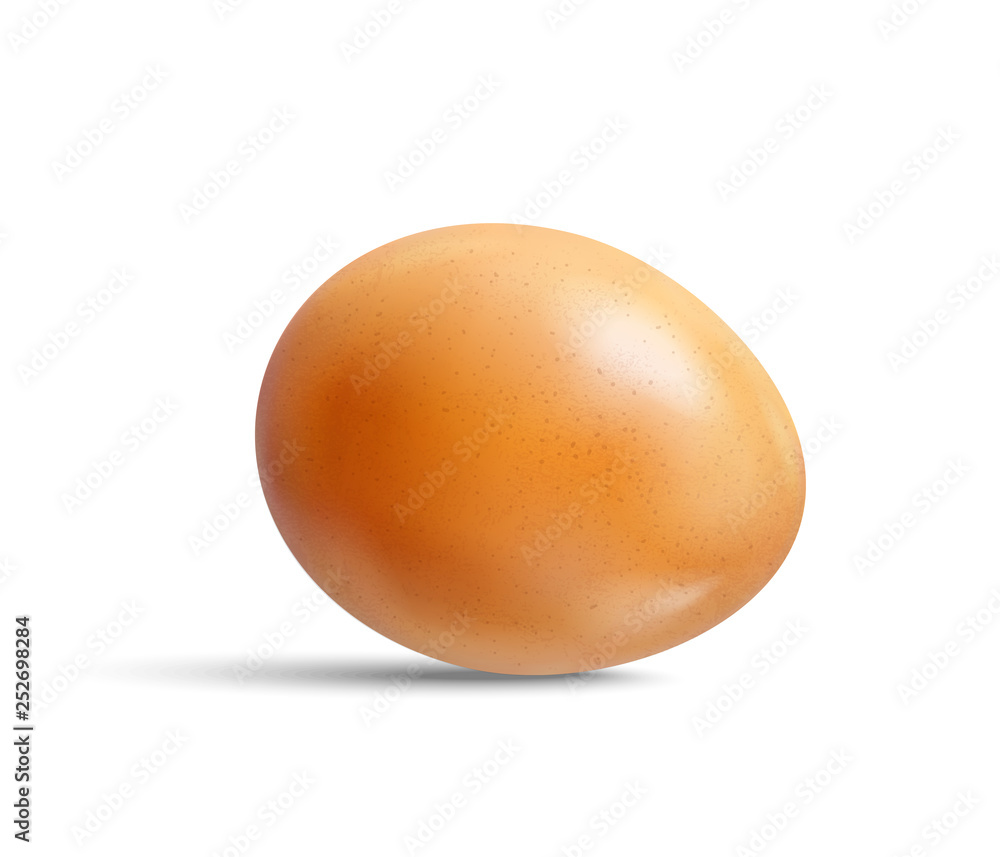 Fresh raw chicken brown egg isolated on white background. Realistic vector 3d illustration. Fresh raw chicken brown egg isolated on white background. Realistic vector 3d illustration.