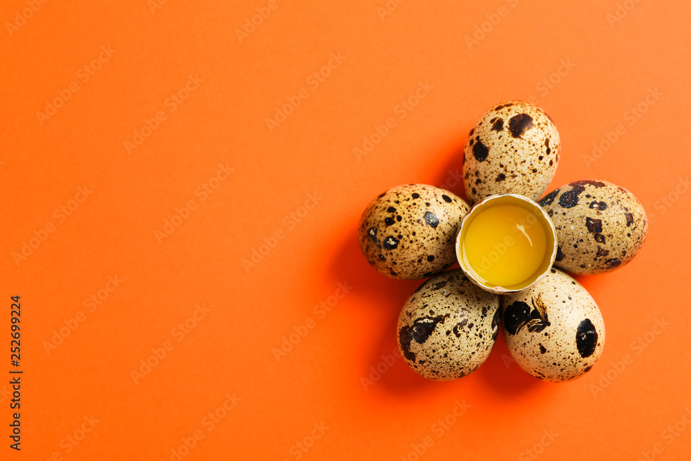 Quail eggs and half with yolk on color background, space for text