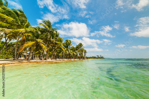 Bois Jolan beach in Guadeloupe island