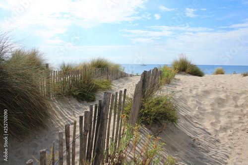 Natural and wild beach with a beautiful and vast area of dunes  Camargue region in the South of Montpellier  France