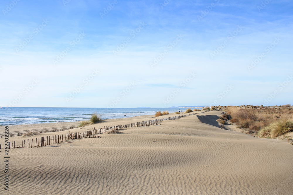 Natural and wild beach with a beautiful and vast area of dunes, Camargue region in the South of Montpellier, France