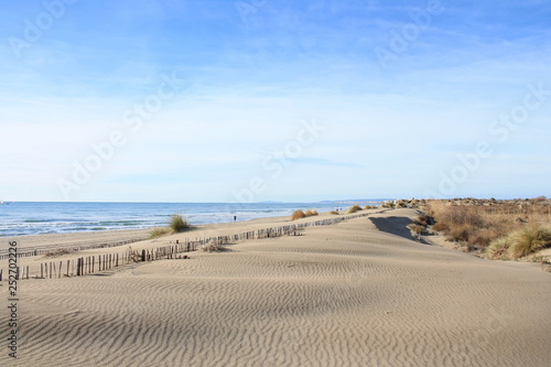 Natural and wild beach with a beautiful and vast area of dunes  Camargue region in the South of Montpellier  France