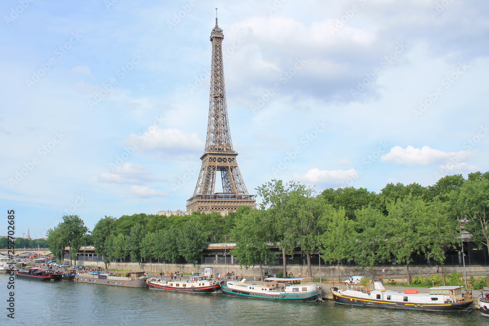Naklejka premium The Eiffel Tower in Paris, capital and the most populous city of France