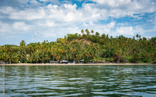 Fototapeta Naklejka Na Ścianę i Meble -  Karibikinsel mit Kokospalmen
