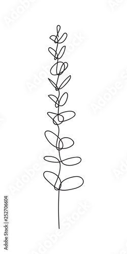 Eucalyptus baby blue branch continuous line drawing. One line . Hand-drawn minimalist illustration, vector.