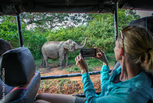 Woman taking photo of Asian Elephant while on Safari in Yala National Park