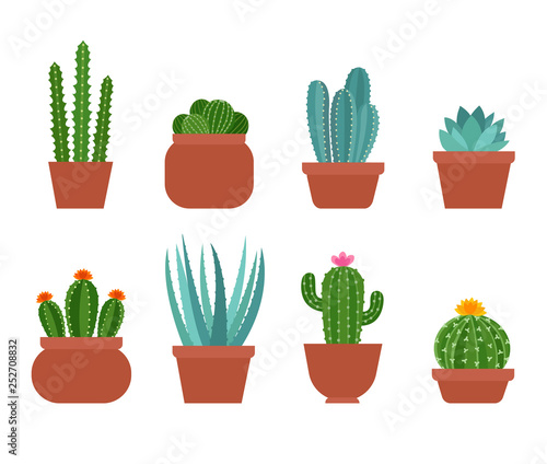 Set of cute colorful cactus, succulents, aloe in different flower pots. Cacti set in simple flat style. Exotic plants collection isolated on white background. Cactus with flowers. Vector illustration