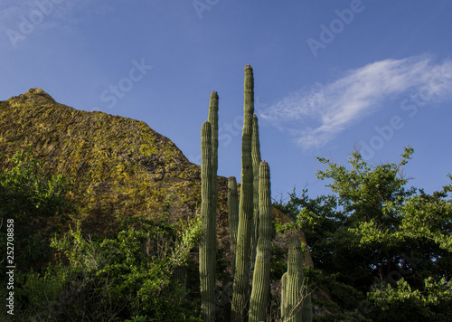 paisaje mexicano a luz del dia © Mauricio