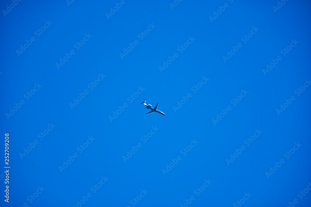 Flying Home Flying Home