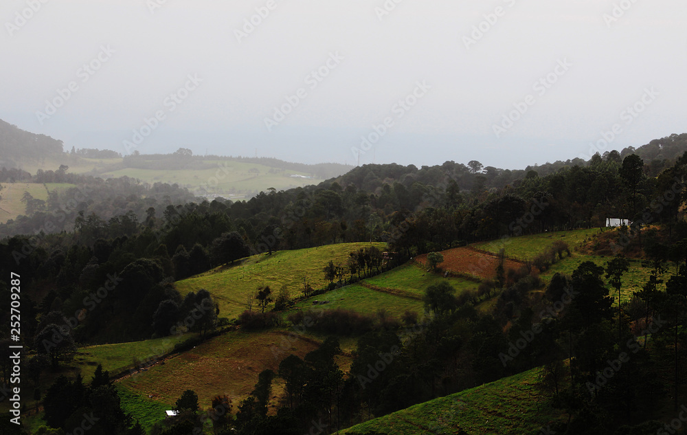 Naklejka premium vista panoramica de un campo con neblina en veracruz , México .