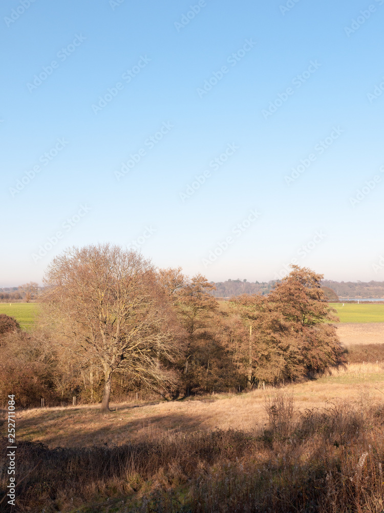 Fingringhoe wick nature reserve outside landscape background space open country countryside Fingringhoe wick nature reserve outside landscape background space open country countryside