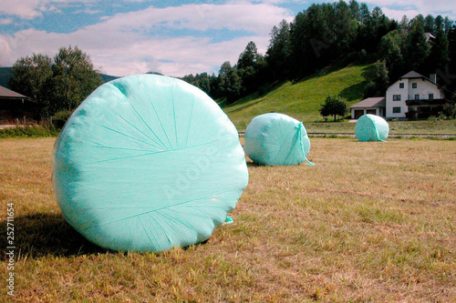 Ballensilage photo