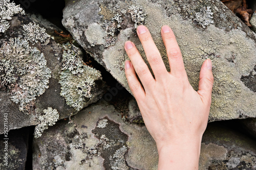 Close-up of human hand touching lichen covered stone. photo