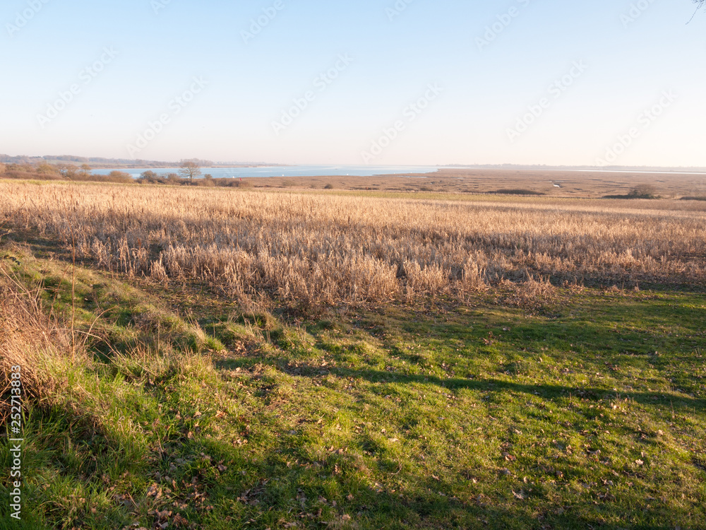 Fingringhoe wick nature reserve outside landscape background space open country countryside