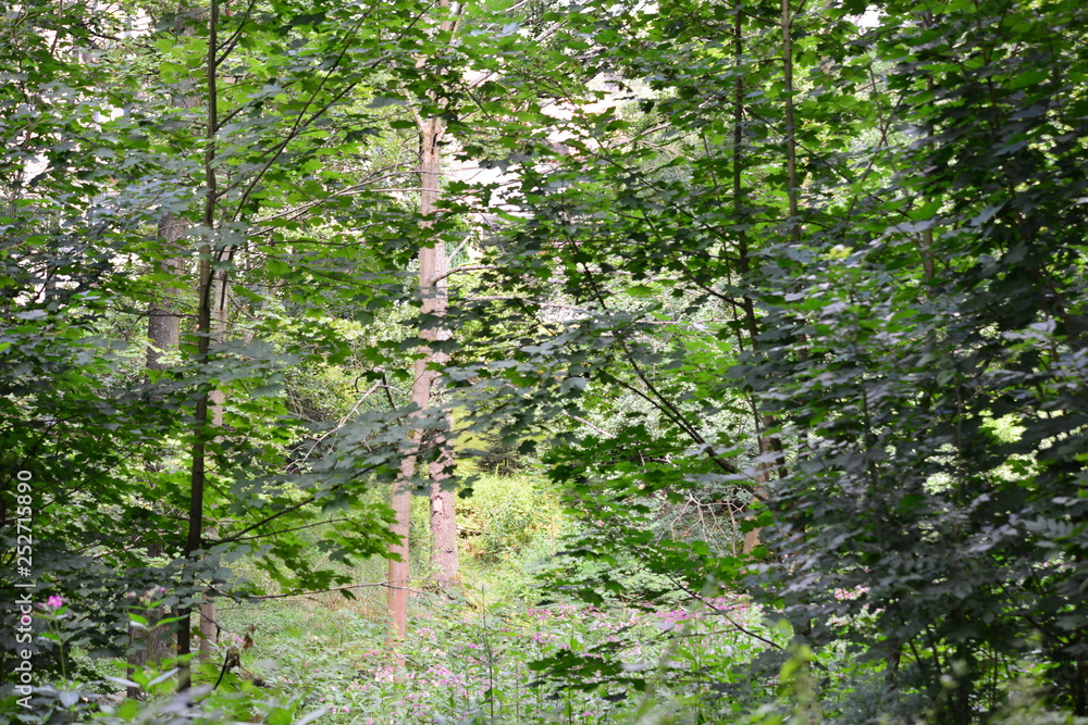 Obraz premium ehemalige DDR