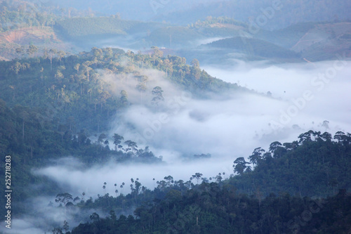 sea fog on the mountain hills