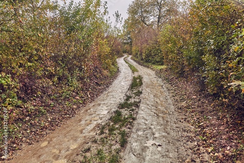 Dirtroad in the countryside