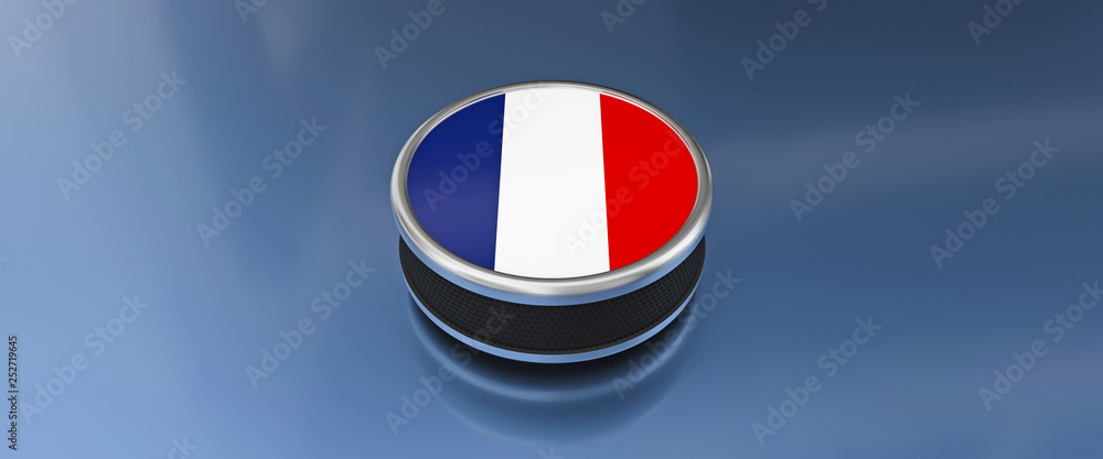 Naklejka premium Logo France sous forme d'écusson